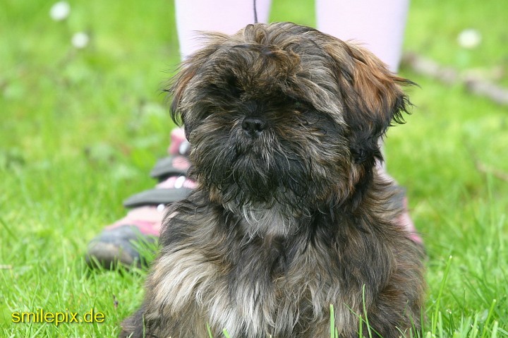 Goettingen 26.4.08 (17).jpg